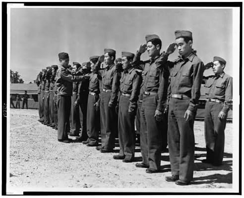 HistoricalFindings Fotó: 442-es Harci Csapat,Tisztelgett, Technika,világháború,második VILÁGHÁBORÚ,Tábor Shelby,Mississippi,1943