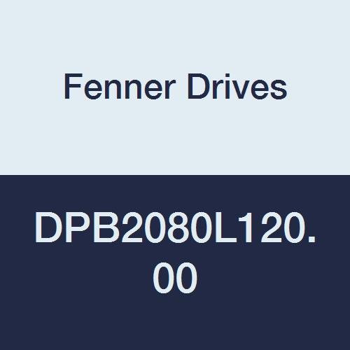 Fenner Vezet DPB2080L120.00 Trackstar Kettős Pályán Lánc Vezető, Lánc 208Le B, 2 Szélesség, 10 Hossz